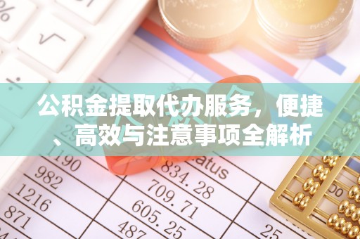 辉南公积金提取代办服务，便捷、高效与注意事项全解析