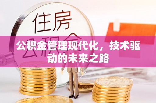 辉南公积金管理现代化，技术驱动的未来之路
